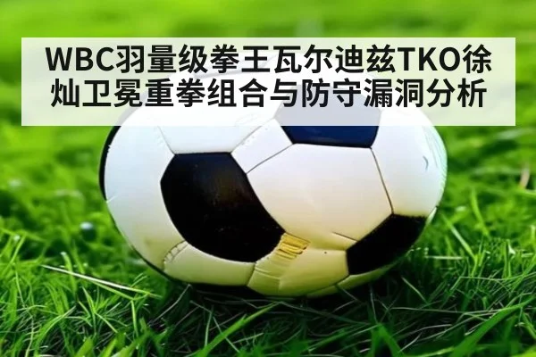 WBC羽量级拳王瓦尔迪兹TKO徐灿卫冕重拳组合与防守漏洞分析